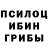 Псилоцибиновые грибы мухоморы Tetiana Dumitrascu