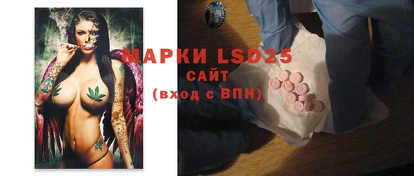 прущие грибы Инсар