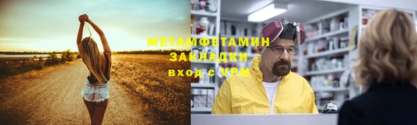 прущие грибы Инсар