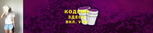 прущие грибы Инсар