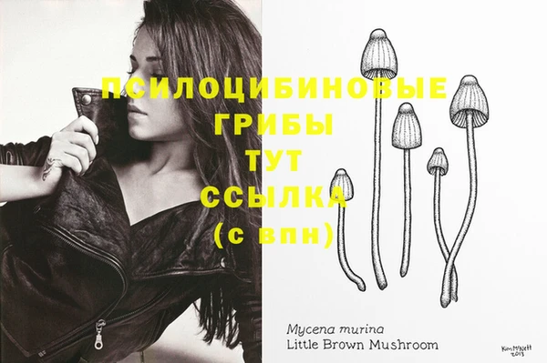 прущие грибы Инсар